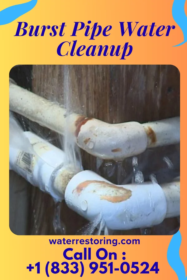 Burst Pipe Water Cleanup in Lincolnville, PA