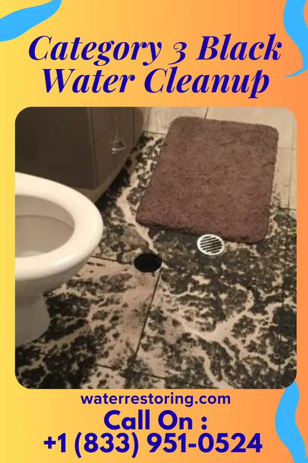 Category 3 Black Water Cleanup in Lincolnville, PA