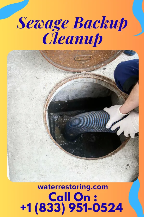 Sewage Backup Cleanup in Lincolnville, PA