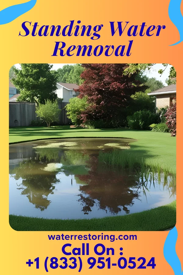 Standing Water Removal in Lincolnville, PA